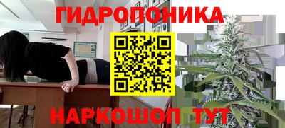 мяу мяу кристалл Тверь