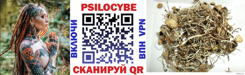 omg рабочий сайт  Чусовой  Галлюциногенные грибы Cubensis 