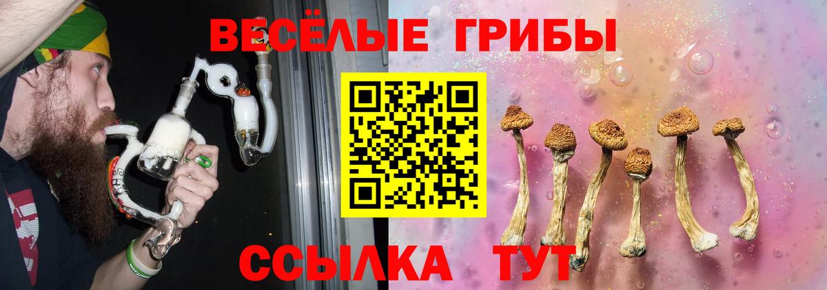 Чусовой  Галлюциногенные грибы Psilocybe  Вход с VPN 
